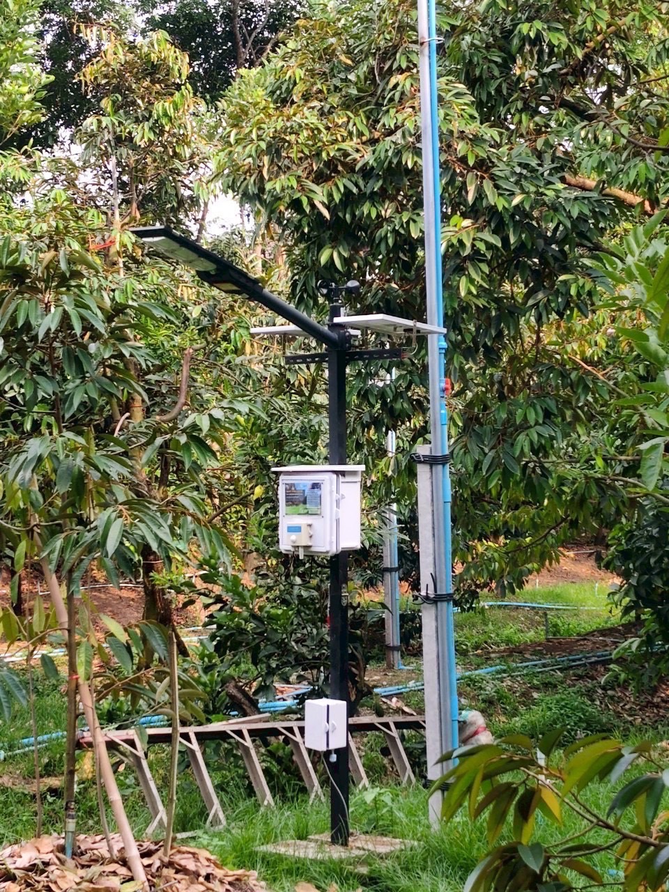 S 38945012