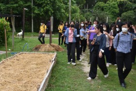 โครงการส่งเสริมวิถีพอเพียงตามรอยพระยุคลบาท ณ ... พารามิเตอร์รูปภาพ 7