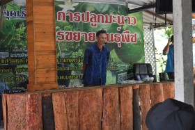 โครงการส่งเสริมวิถีพอเพียงตามรอยพระยุคลบาท ณ ... พารามิเตอร์รูปภาพ 14