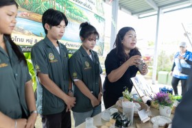 จาก “เปลือกหอยเหลือทิ้ง” สู่ “วัสดุสร้างมูลค่า” AEM ... พารามิเตอร์รูปภาพ 4