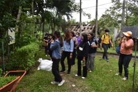 โครงการส่งเสริมวิถีพอเพียงตามรอยพระยุคลบาท ณ ศูนย์ศึกษาการพั ... พารามิเตอร์รูปภาพ 9