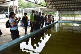 โครงการส่งเสริมวิถีพอเพียงตามรอยพระยุคลบาท ณ ศูนย์ศึกษาการพั ... พารามิเตอร์รูปภาพ 13