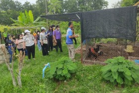 โครงการส่งเสริมวิถีพอเพียงตามรอยพระยุคลบาท ณ ศูนย์ศึกษาการพั ... Image 29